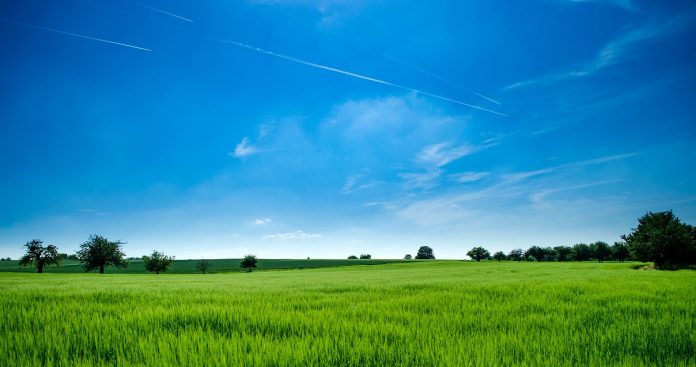 Proiectul Plant-XR: Olanda cheltuiește 50.000.000 de euro ca să obțină culturi agricole mai rezistente la schimbările climatice și să reducă poluarea cu pesticide, folosind Inteligența Artificială