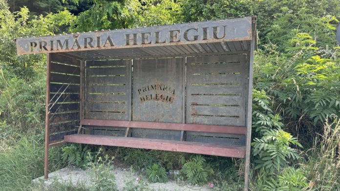 ordonanta trenulet, guvern, cni, anghel saligny, proiecte