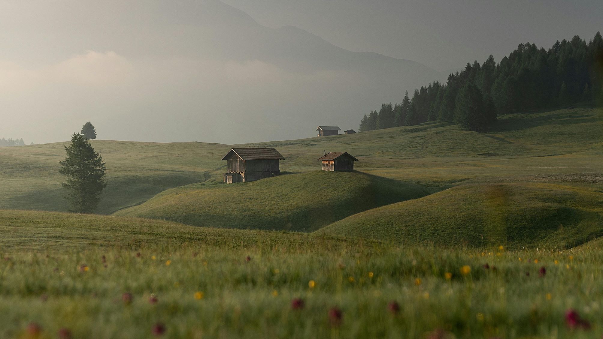 SKAIGreen: Drone inteligente și inteligență artificială pentru monitorizarea biodiversității pajiștilor din România